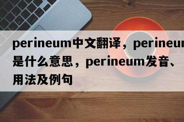 perineum中文翻譯，perineum是什么意思，perineum發(fā)音、用法及例句