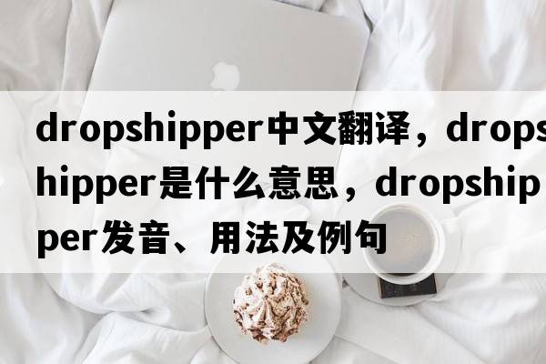 dropshipper中文翻譯，dropshipper是什么意思，dropshipper發(fā)音、用法及例句