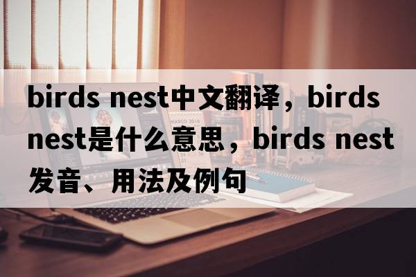birds nest中文翻譯，birds nest是什么意思，birds nest發(fā)音、用法及例句