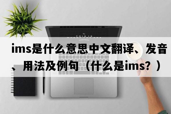 ims是什么意思中文翻譯、發(fā)音、用法及例句（什么是IMS？）