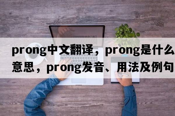 prong中文翻譯，prong是什么意思，prong發(fā)音、用法及例句