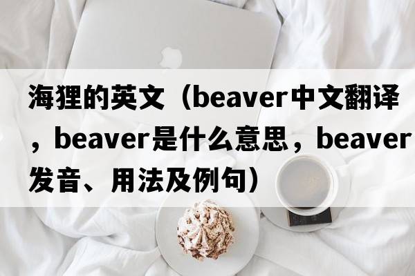 海貍的英文（beaver中文翻譯，beaver是什么意思，beaver發(fā)音、用法及例句）