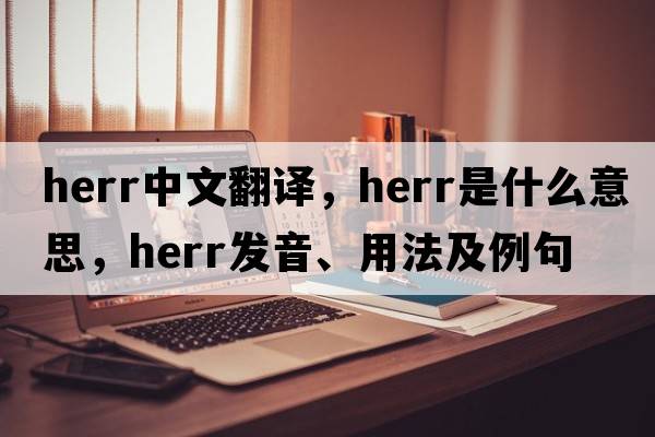 Herr中文翻譯，Herr是什么意思，Herr發(fā)音、用法及例句