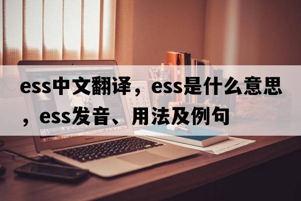 ess中文翻譯，ess是什么意思，ess發(fā)音、用法及例句