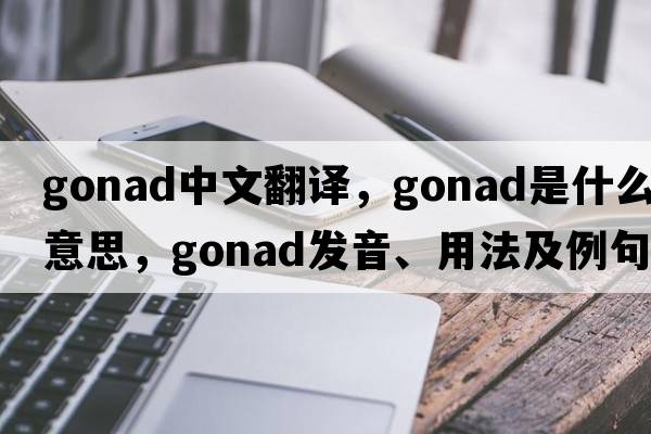 gonad中文翻譯，gonad是什么意思，gonad發(fā)音、用法及例句