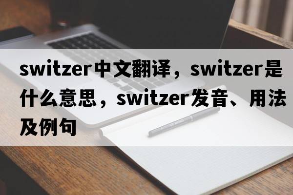 Switzer中文翻譯，Switzer是什么意思，Switzer發(fā)音、用法及例句