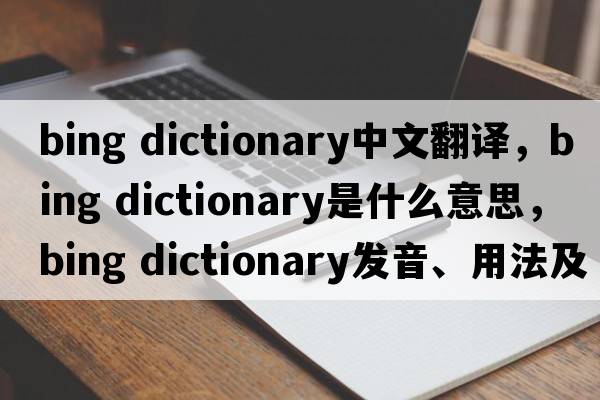 bing dictionary中文翻譯，bing dictionary是什么意思，bing dictionary發(fā)音、用法及例句