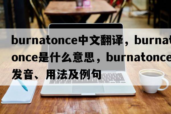burnatonce中文翻譯，burnatonce是什么意思，burnatonce發(fā)音、用法及例句