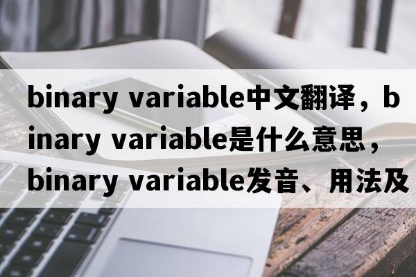 binary variable中文翻譯，binary variable是什么意思，binary variable發(fā)音、用法及例句