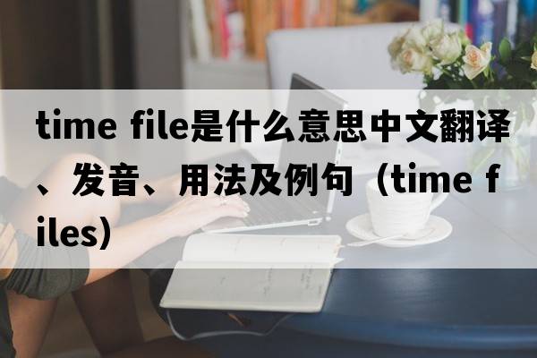 time file是什么意思中文翻譯、發(fā)音、用法及例句（time files）