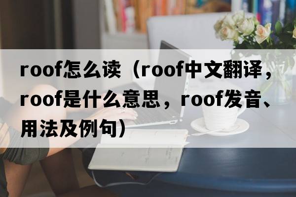 roof怎么讀（roof中文翻譯，roof是什么意思，roof發(fā)音、用法及例句）