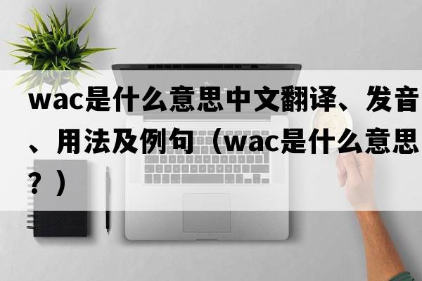 wac是什么意思中文翻譯、發(fā)音、用法及例句（Wac是什么意思？）