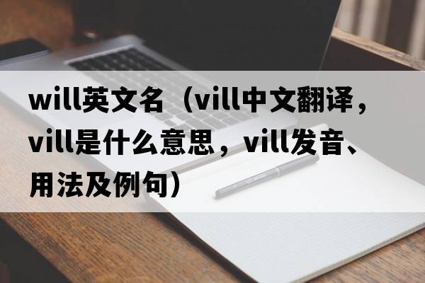 will英文名（vill中文翻譯，vill是什么意思，vill發(fā)音、用法及例句）