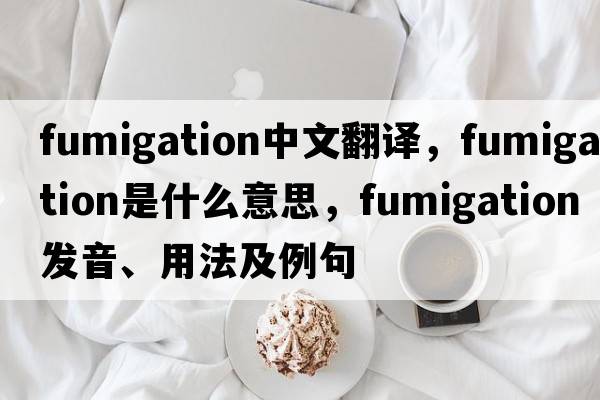 fumigation中文翻譯，fumigation是什么意思，fumigation發(fā)音、用法及例句