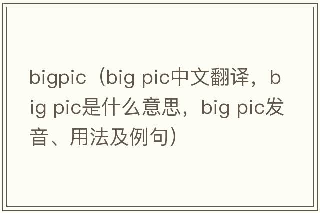bigpic（big pic中文翻譯，big pic是什么意思，big pic發(fā)音、用法及例句）