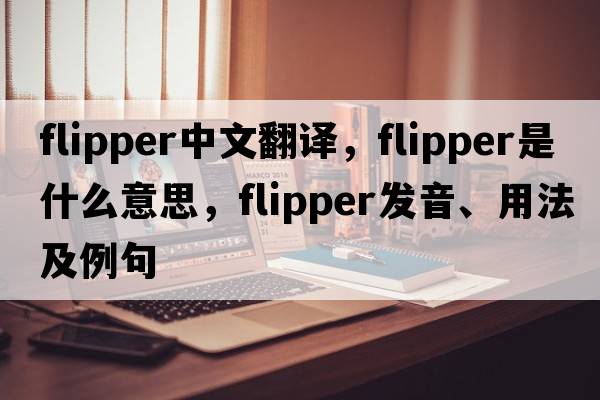 flipper中文翻譯，flipper是什么意思，flipper發(fā)音、用法及例句