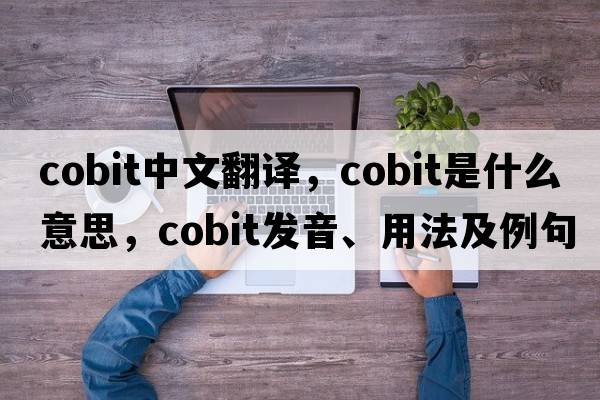 cobit中文翻譯，cobit是什么意思，cobit發(fā)音、用法及例句