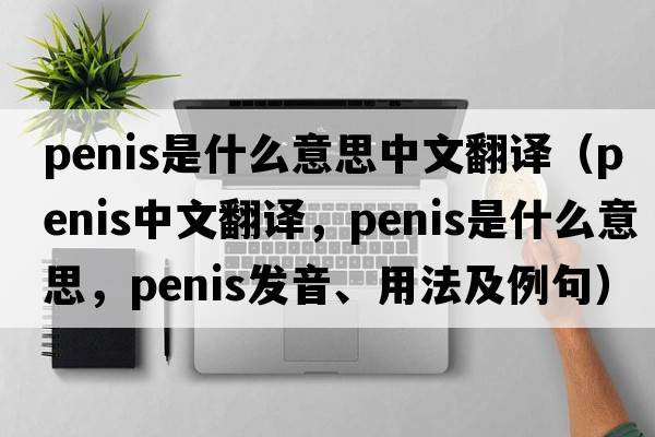 penis是什么意思中文翻譯（penis中文翻譯，penis是什么意思，penis發(fā)音、用法及例句）