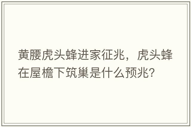 黃腰虎頭蜂進(jìn)家征兆，虎頭蜂在屋檐下筑巢是什么預兆？