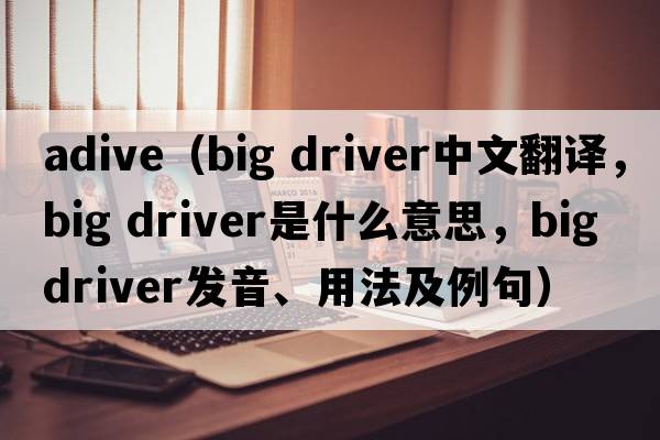 adive（big driver中文翻譯，big driver是什么意思，big driver發(fā)音、用法及例句）