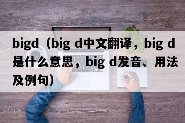 bigd（big d中文翻譯，big d是什么意思，big d發(fā)音、用法及例句）