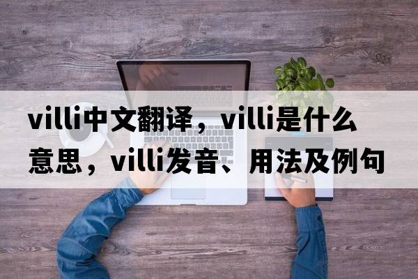 villi中文翻譯，villi是什么意思，villi發(fā)音、用法及例句