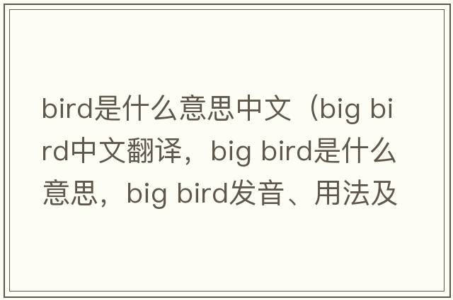 bird是什么意思中文（big bird中文翻譯，big bird是什么意思，big bird發(fā)音、用法及例句）