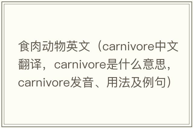 食肉動(dòng)物英文（carnivore中文翻譯，carnivore是什么意思，carnivore發(fā)音、用法及例句）