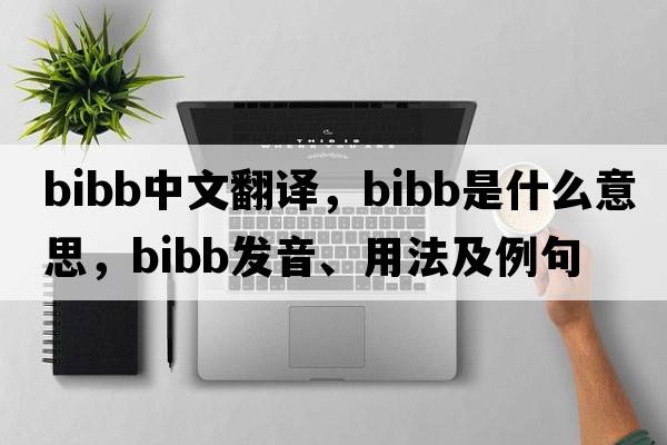 bibb中文翻譯，bibb是什么意思，bibb發(fā)音、用法及例句