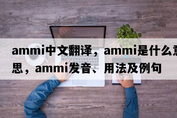 AMMI中文翻譯，AMMI是什么意思，AMMI發(fā)音、用法及例句