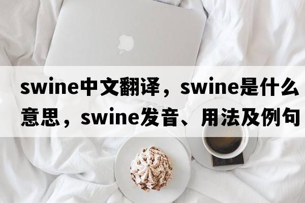 swine中文翻譯，swine是什么意思，swine發(fā)音、用法及例句