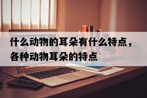 什么動(dòng)物的耳朵有什么特點(diǎn)，各種動(dòng)物耳朵的特點(diǎn)