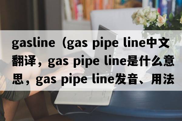 gasline（gas pipe line中文翻譯，gas pipe line是什么意思，gas pipe line發(fā)音、用法及例句）