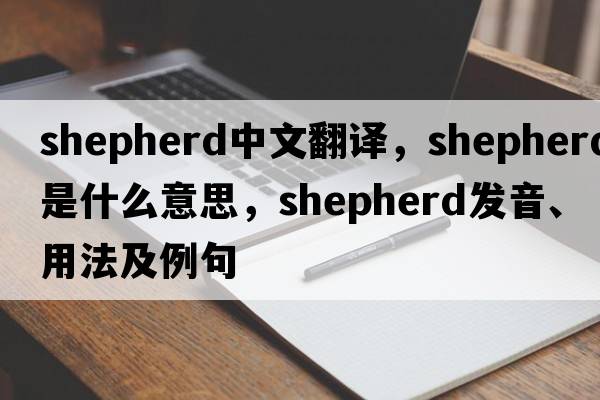 shepherd中文翻譯，shepherd是什么意思，shepherd發(fā)音、用法及例句
