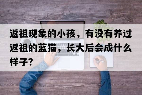 返祖現象的小孩，有沒(méi)有養過(guò)返祖的藍貓，長(cháng)大后會(huì )成什么樣子？