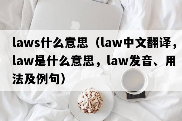 laws什么意思（law中文翻譯，law是什么意思，law發(fā)音、用法及例句）