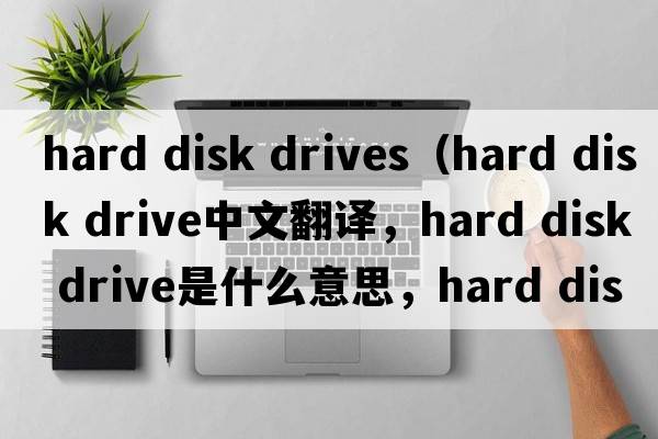 hard disk drives（hard disk drive中文翻譯，hard disk drive是什么意思，hard disk drive發(fā)音、用法及例句）