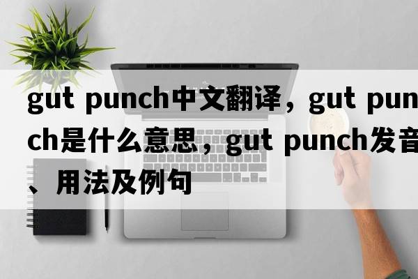 gut punch中文翻譯，gut punch是什么意思，gut punch發(fā)音、用法及例句