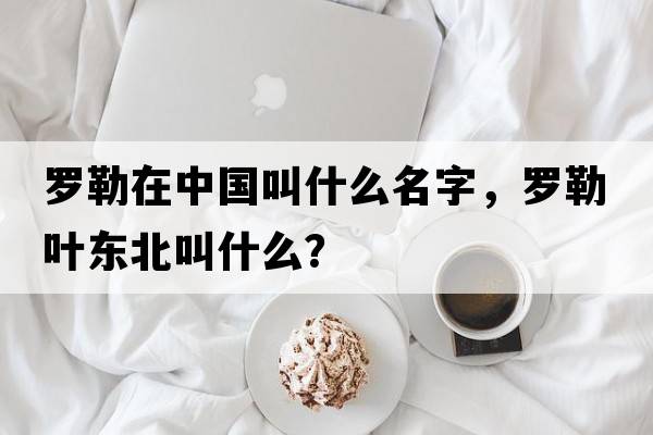羅勒在中國叫什么名字，羅勒葉東北叫什么？
