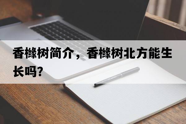 香櫞樹(shù)簡(jiǎn)介，香櫞樹(shù)北方能生長(cháng)嗎？