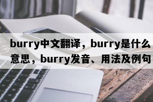 burry中文翻譯，burry是什么意思，burry發(fā)音、用法及例句