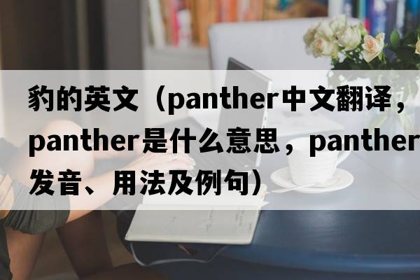 豹的英文（panther中文翻譯，panther是什么意思，panther發(fā)音、用法及例句）