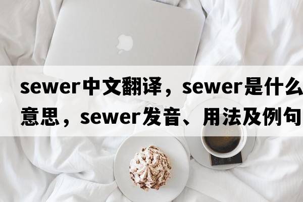 sewer中文翻譯，sewer是什么意思，sewer發(fā)音、用法及例句