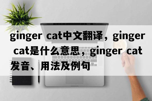 ginger cat中文翻譯，ginger cat是什么意思，ginger cat發(fā)音、用法及例句