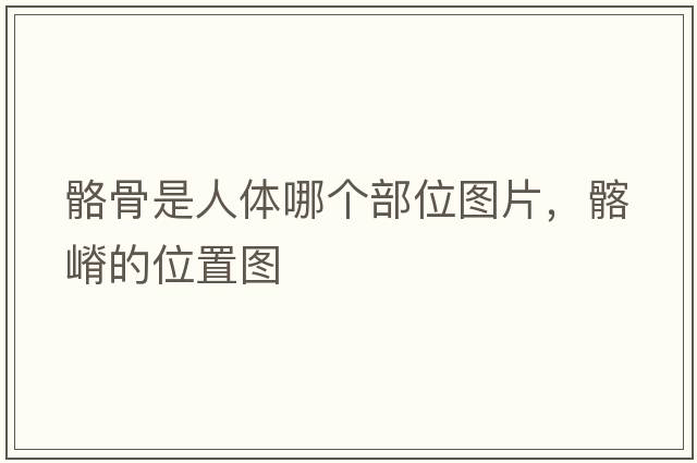 骼骨是人體哪個(gè)部位圖片，髂嵴的位置圖