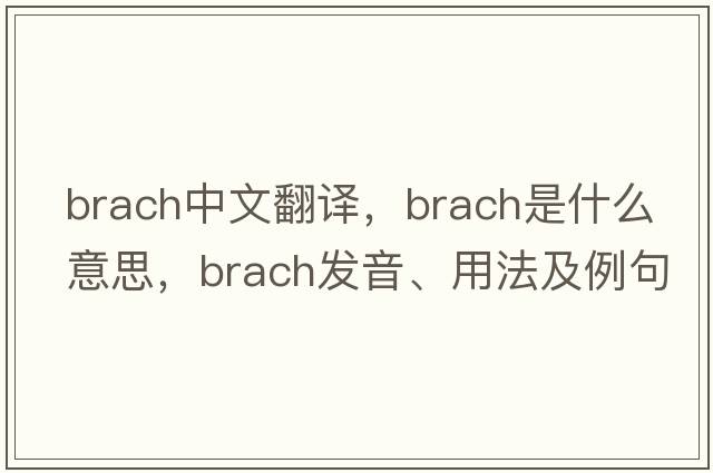 brach中文翻譯，brach是什么意思，brach發(fā)音、用法及例句
