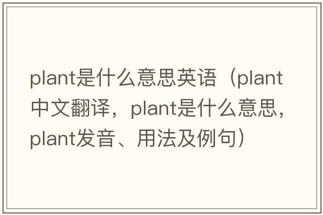 plant是什么意思英語(yǔ)（plant中文翻譯，plant是什么意思，plant發(fā)音、用法及例句）