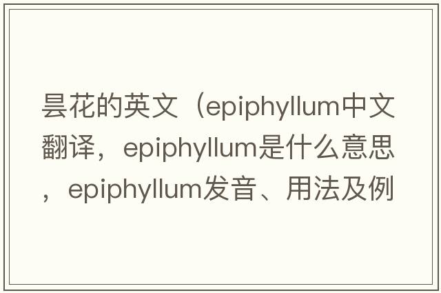 曇花的英文（epiphyllum中文翻譯，epiphyllum是什么意思，epiphyllum發(fā)音、用法及例句）