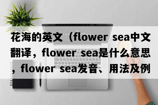 花海的英文（flower sea中文翻譯，flower sea是什么意思，flower sea發(fā)音、用法及例句）