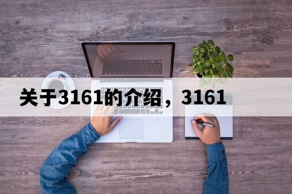 關(guān)于3161的介紹，3161